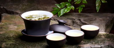 2019北京茉莉花茶节正式启动 茶韵与陶瓷艺术的完美邂逅