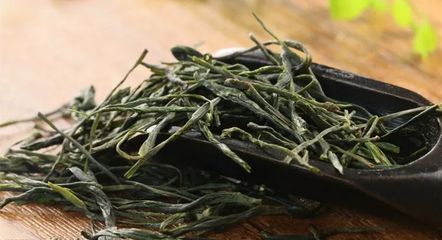 四类绿茶的划分,一张图帮你理清