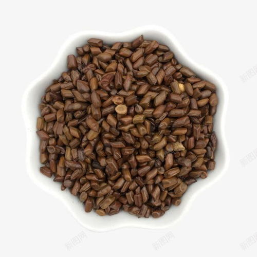 决明子茶养生素材 免抠PNG设计资源与创意应用